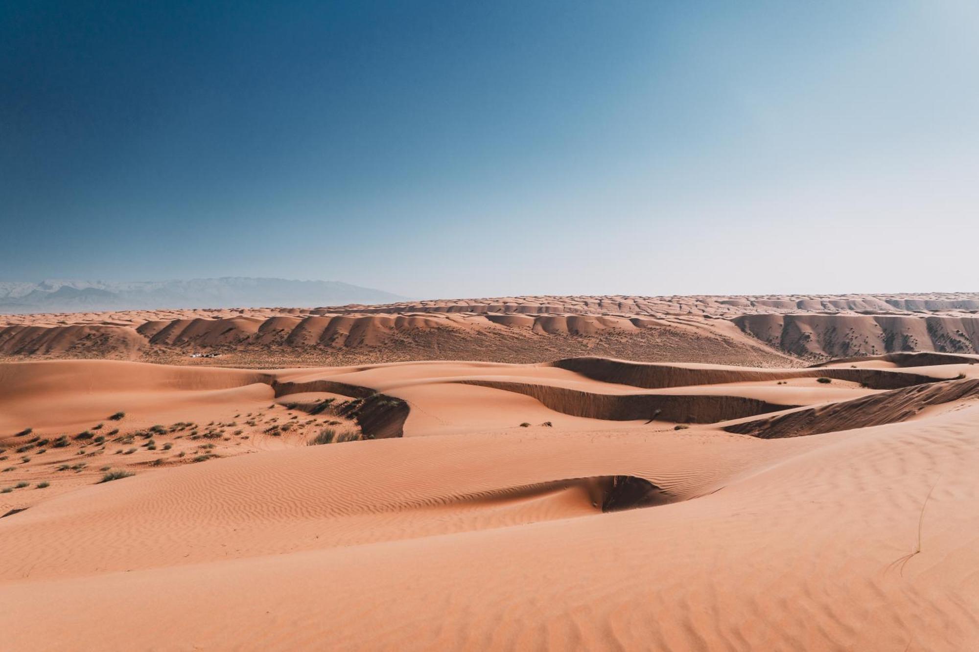 Hamood Desert Private Camp Al Wāşil Exteriör bild