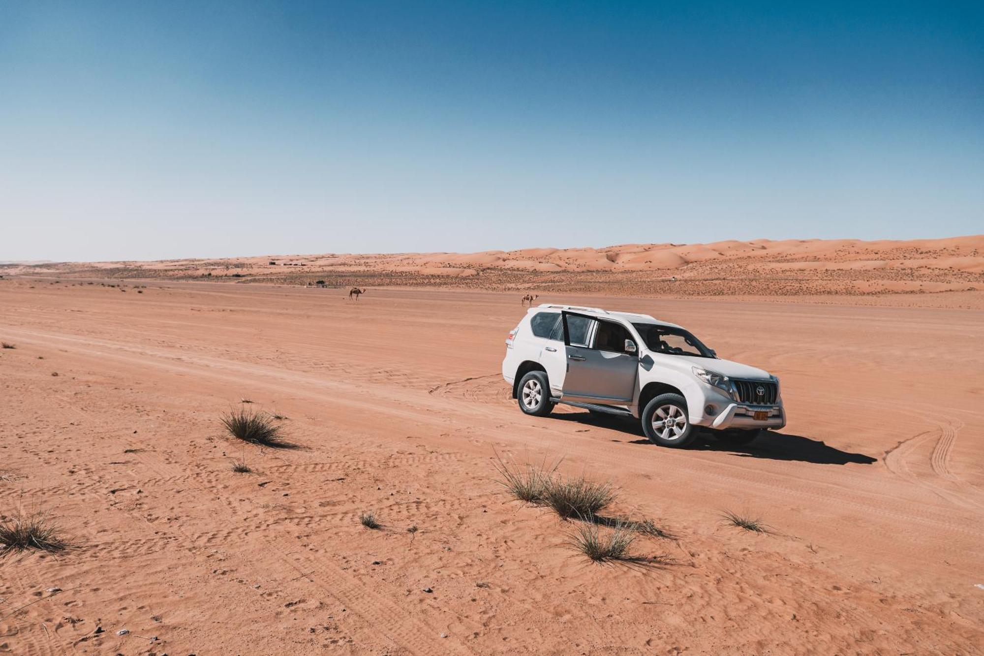 Hamood Desert Private Camp Al Wāşil Exteriör bild