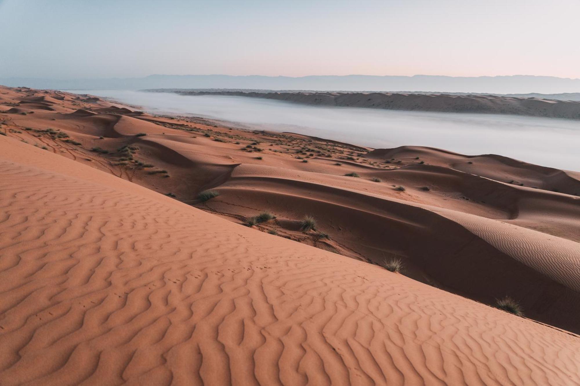 Hamood Desert Private Camp Al Wāşil Exteriör bild