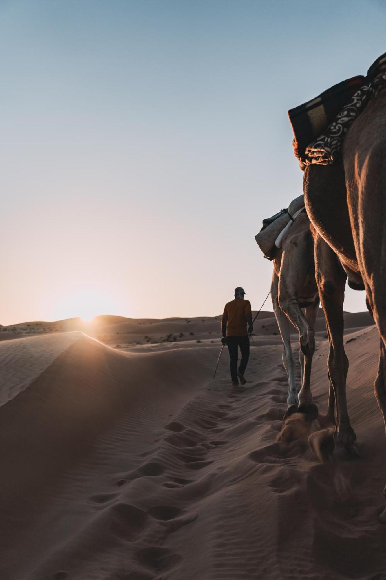 Hamood Desert Private Camp Al Wāşil Exteriör bild