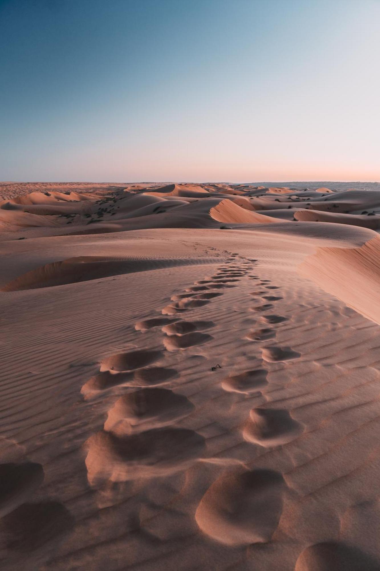 Hamood Desert Private Camp Al Wāşil Exteriör bild