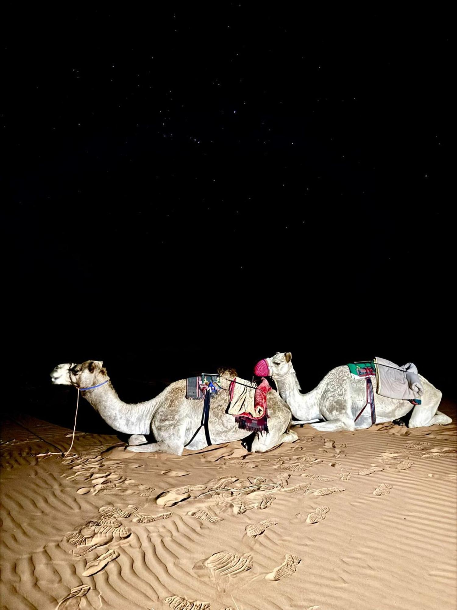 Hamood Desert Private Camp Al Wāşil Exteriör bild